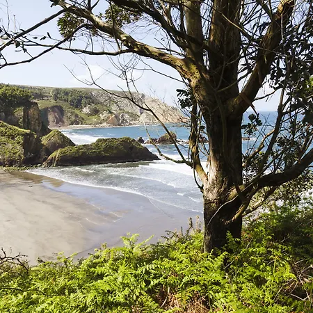 Ruralsurf Hotel Naveces